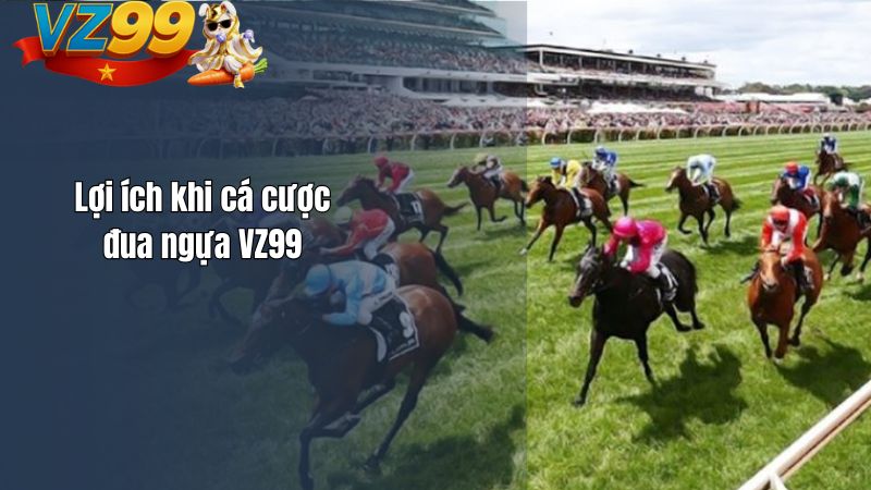 Lợi ích khi cá cược đua ngựa VZ99