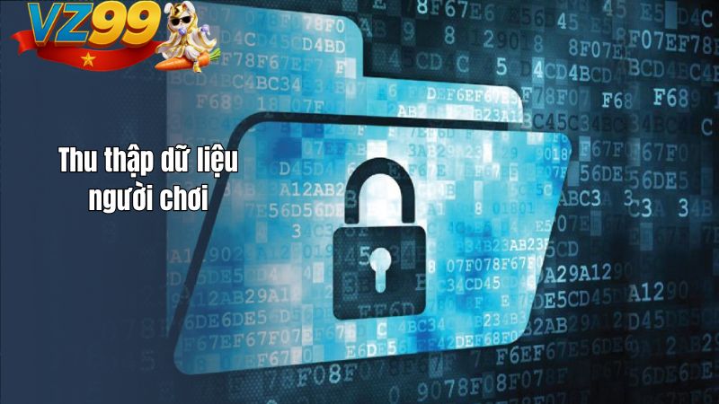 Thu thập dữ liệu người chơi